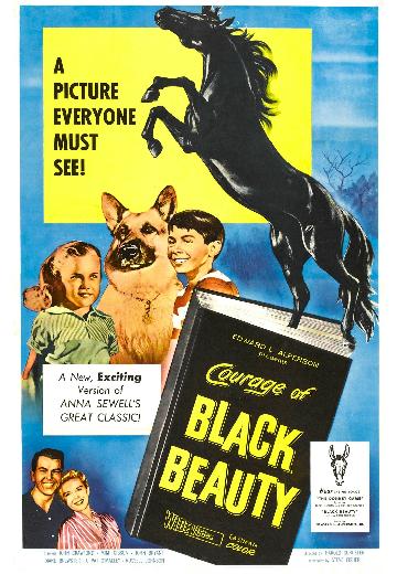 Courage of Black Beauty poster