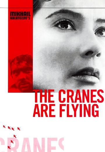 The Cranes Are Flying poster