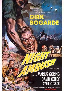 Night Ambush poster