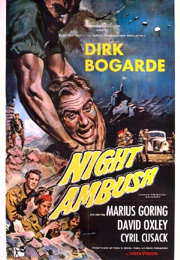 Night Ambush poster