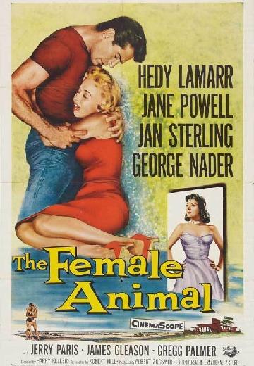 The Female Animal poster