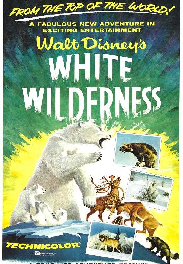 White Wilderness poster