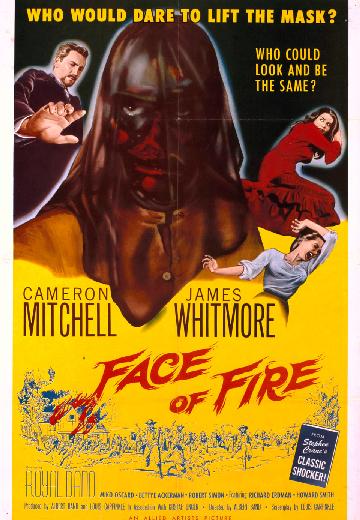 Face of Fire poster