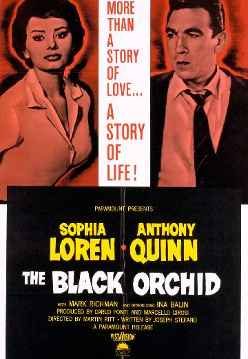 The Black Orchid poster