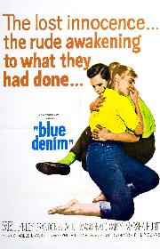 Blue Denim poster
