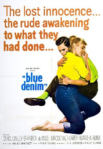 Blue Denim poster