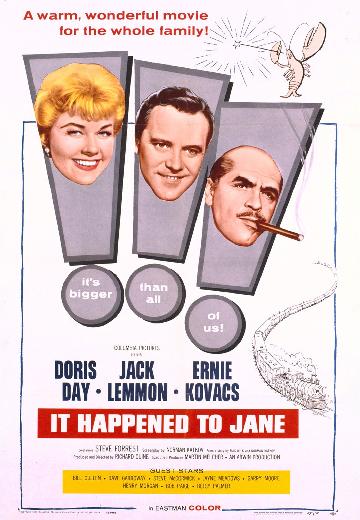 It Happened to Jane poster