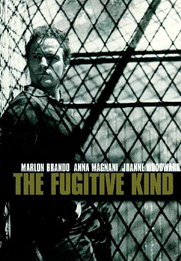 The Fugitive Kind poster