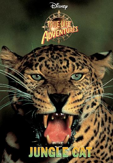 Jungle Cat poster