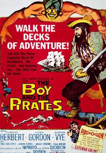 The Boy and the Pirates poster