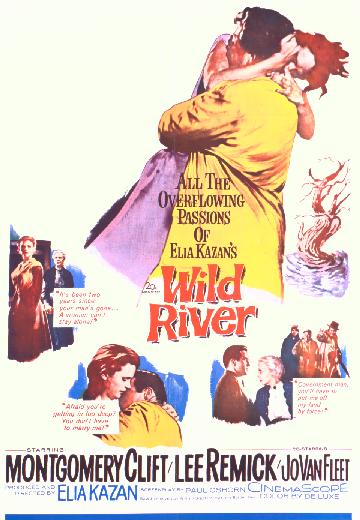 Wild River poster