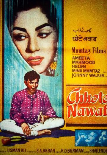 Chhote Nawab poster