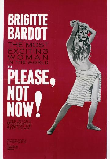 Please Not Now! poster