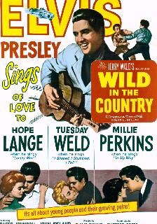 Wild in the Country poster