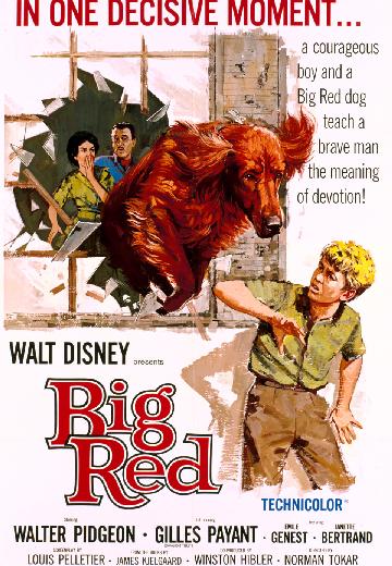 Big Red poster