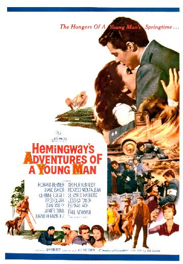 Adventures of a Young Man poster
