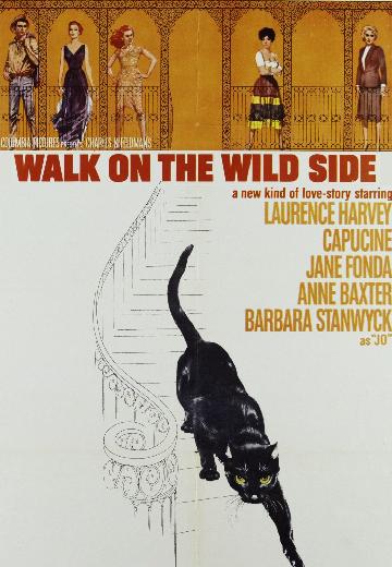 Walk on the Wild Side poster