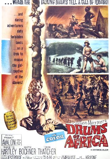 Drums of Africa poster