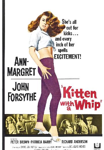 Kitten With a Whip poster