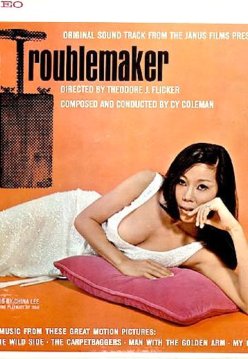 The Troublemaker poster
