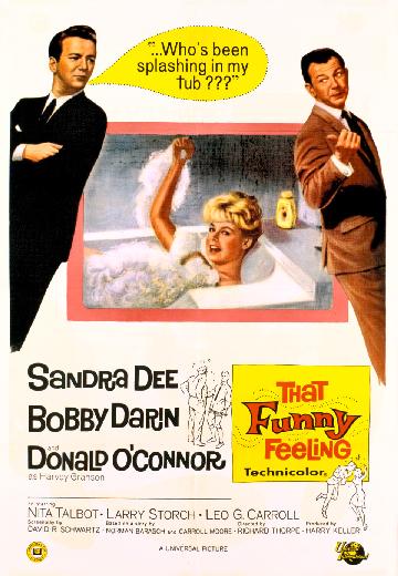 That Funny Feeling poster