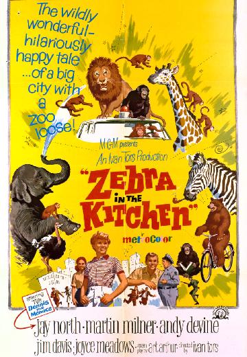Zebra in the Kitchen poster