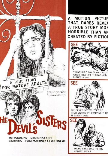The Devil's Sisters poster