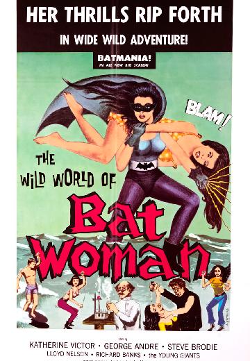 The Wild World of Batwoman poster