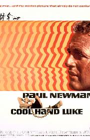 Cool Hand Luke poster