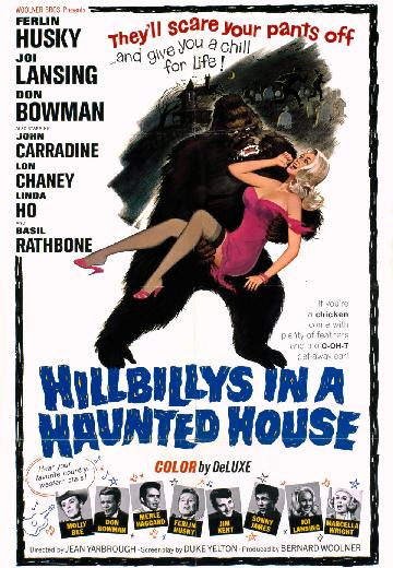 Hillbillys in a Haunted House poster