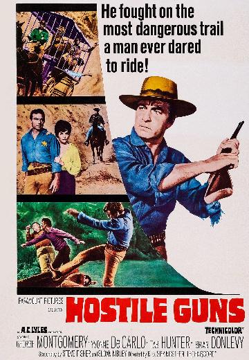 Hostile Guns poster