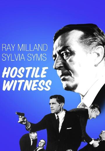 Hostile Witness poster
