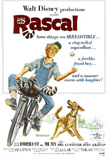 Rascal poster
