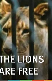 The Lions Are Free poster