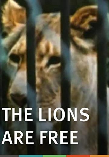 The Lions Are Free poster