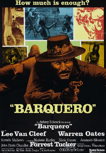 Barquero poster