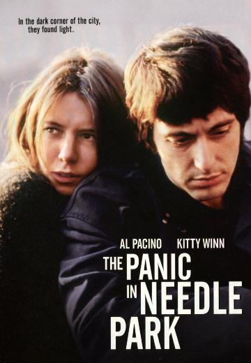 Panic in Needle Park poster