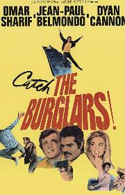 The Burglars poster
