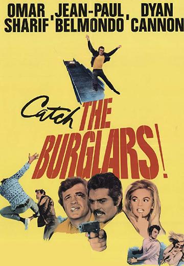 The Burglars poster