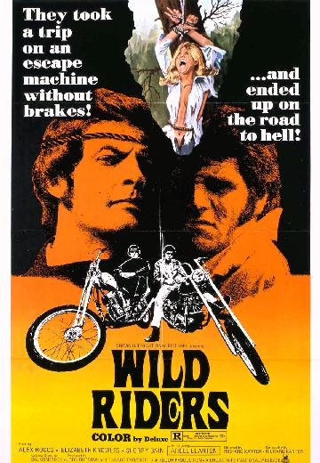 Wild Riders poster
