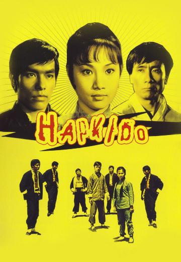 Hapkido poster
