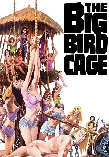 The Big Bird Cage poster