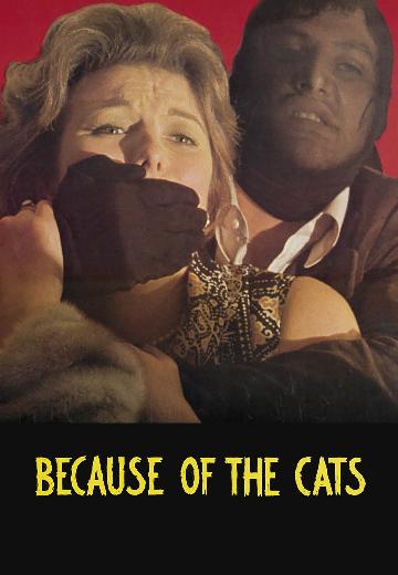Because of the Cats poster