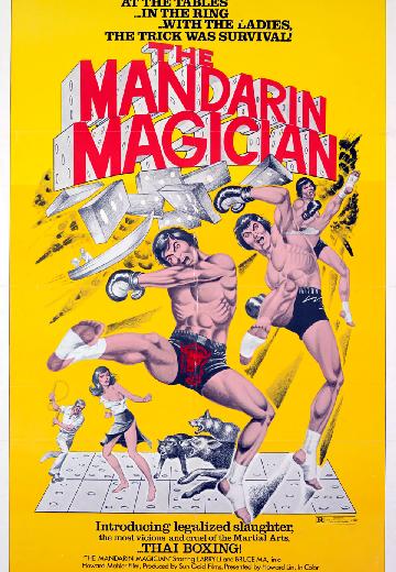 The Mandarin Magician poster