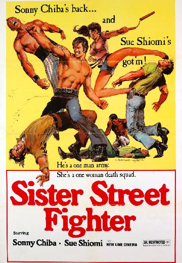 Sister Street Fighter poster