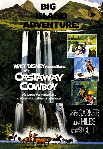 The Castaway Cowboy poster