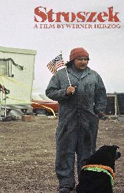 Stroszek poster