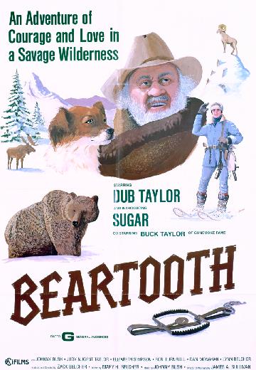 Beartooth poster