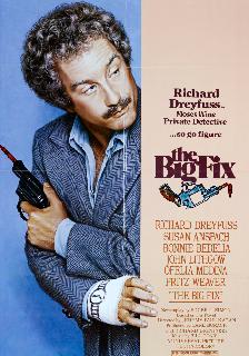 The Big Fix poster