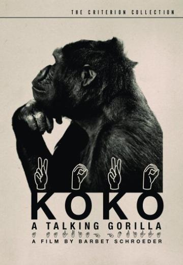 Koko: A Talking Gorilla poster